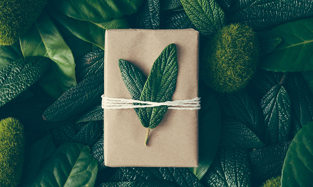 Eine Geschenkbox aus braunem Papier mit zwei grünen Blättern und weißem Twine, umgeben von üppigem grünem Laub – Symbol für nachhaltige Verpackung und natürliche Materialien, passend zu Greim Consultings Fokus auf nachhaltigere Prozessgestaltung.